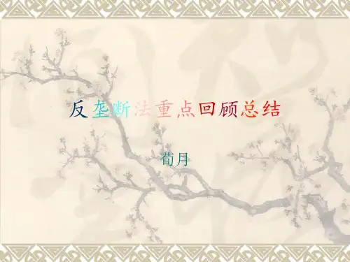 反垄断法重点回顾总结.