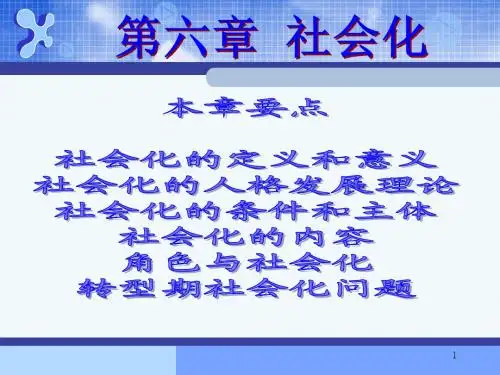 6.社会化