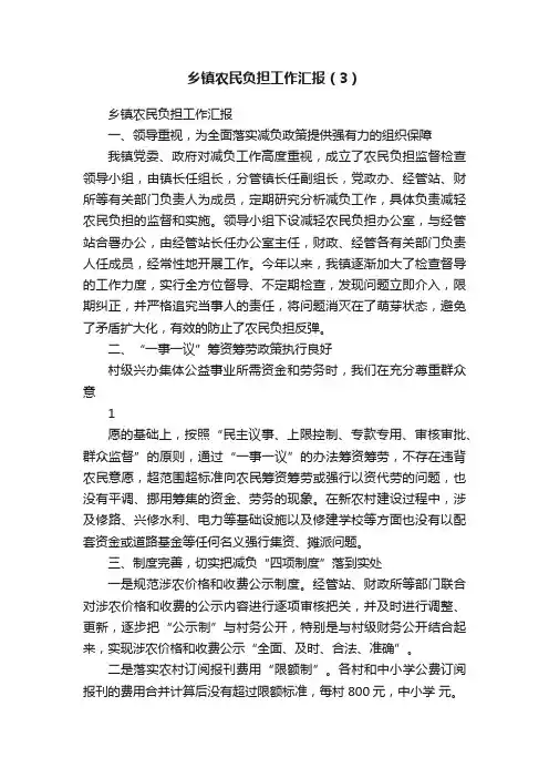 乡镇农民负担工作汇报（3）
