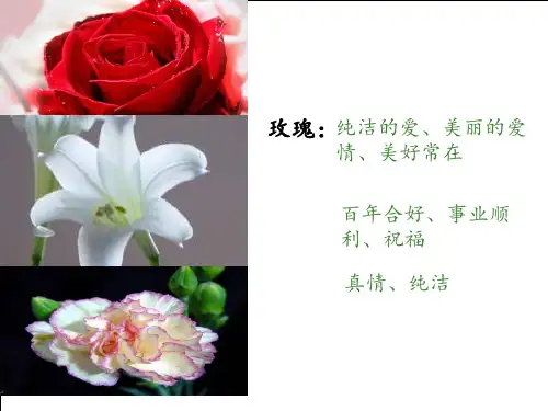 铃兰花 ppt课件