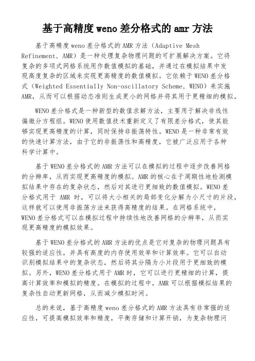 基于高精度weno差分格式的amr方法