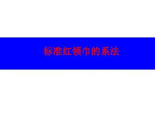 红领巾标准系法