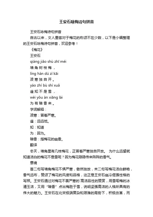 王安石咏梅诗句拼音