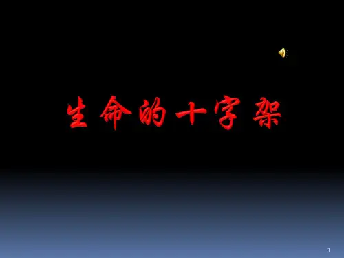生命的十字架PPT课件
