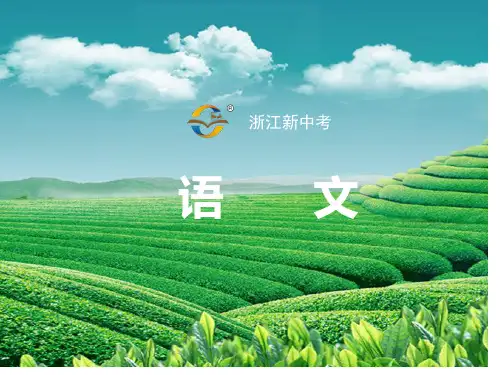 专题三非连续性文本阅读
