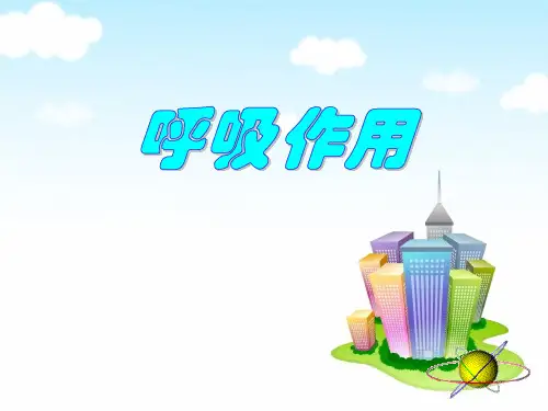 《呼吸作用》PPT课件精选PPT教学课件