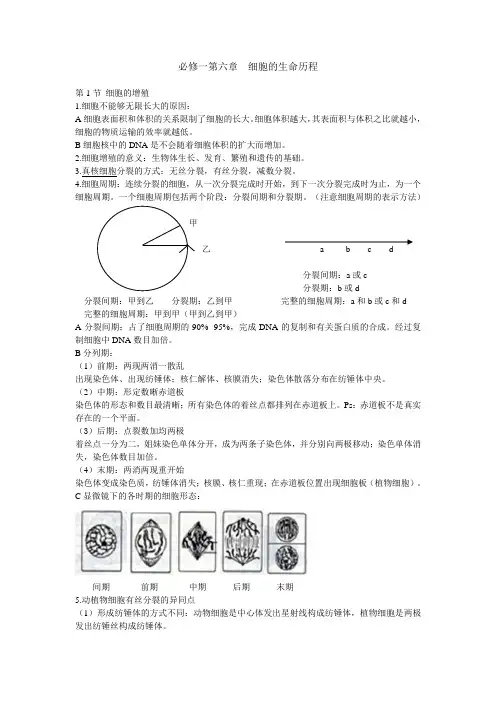 高考生物复习教案：整章知识点总结--第六章 细胞的生命历程必修一 人教版