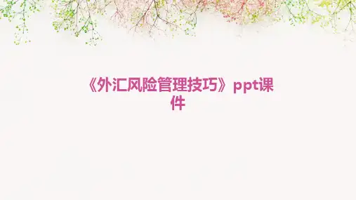 《外汇风险管理技巧》课件