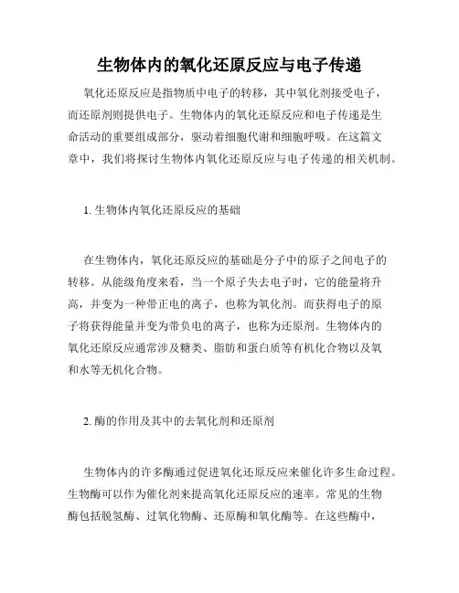生物体内的氧化还原反应与电子传递