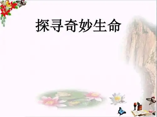 探寻奇妙生命ppt优秀课件3 苏教版