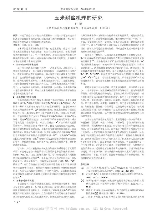 玉米耐盐机理的研究