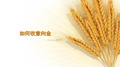 如何收意向金 谢志云