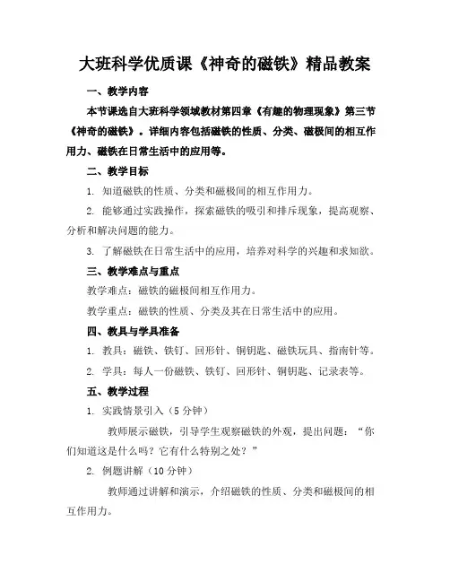 大班科学优质课《神奇的磁铁》精品教案