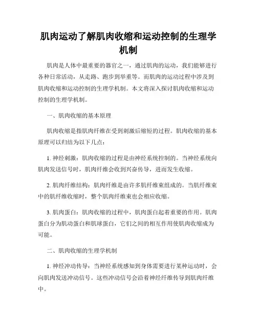肌肉运动了解肌肉收缩和运动控制的生理学机制