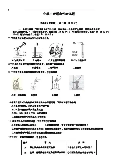 湖北省襄阳市樊城区2019年中考适应考试化学试题及答案