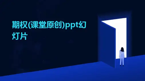 期权(课堂原创)ppt幻灯片