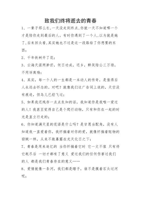 电影《致青春》经典台词