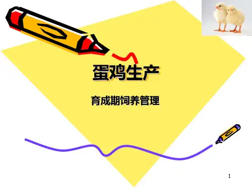 蛋鸡生产育成期课件(共35张PPT)《家禽生产技术》