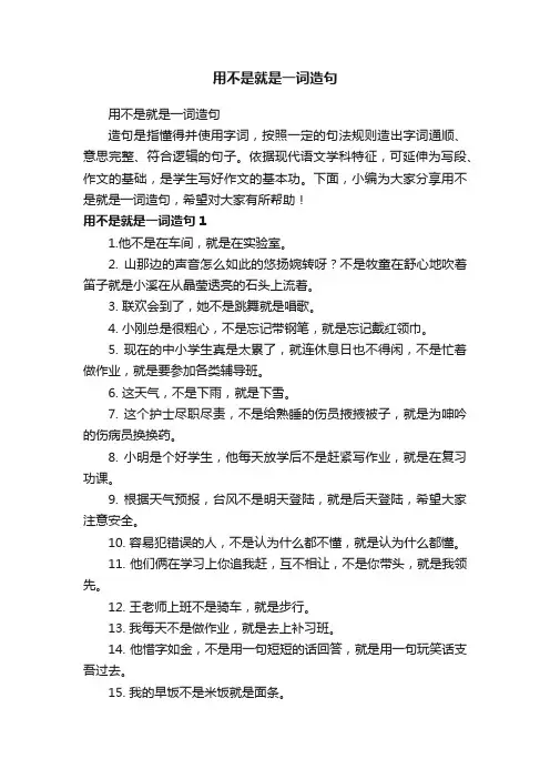 用不是就是一词造句