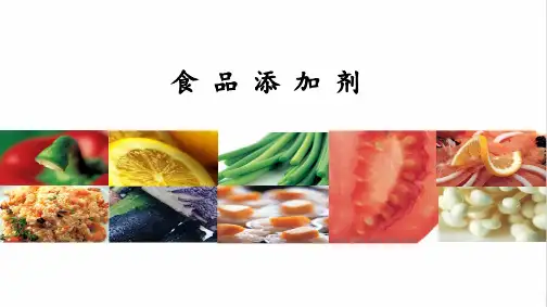 食品中添加剂的测定—食品添加剂的检测(食品检测技术课件)