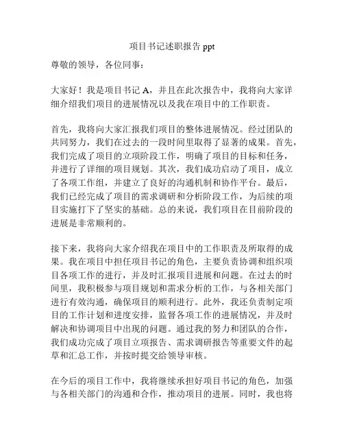项目书记述职报告ppt