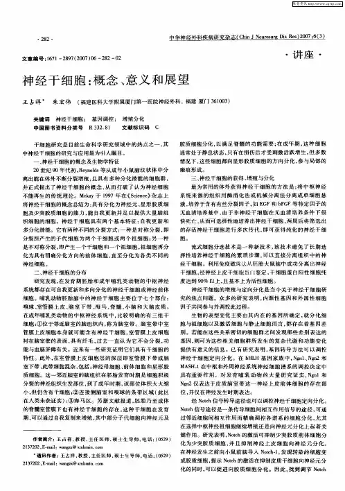 神经干细胞：概念、意义和展望