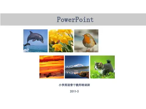 交互式制作课ppt课件