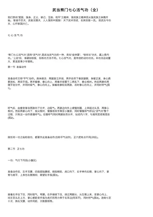 武当熊门七心活气功（全）