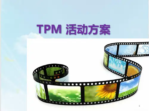 TPM活动方案ppt课件