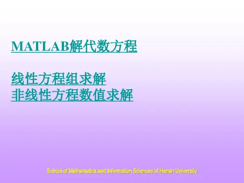 MATLAB解代数方程