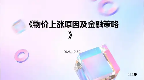 物价上涨原因及金融策略