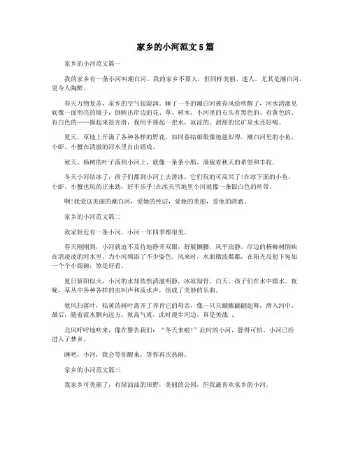 家乡的小河范文5篇