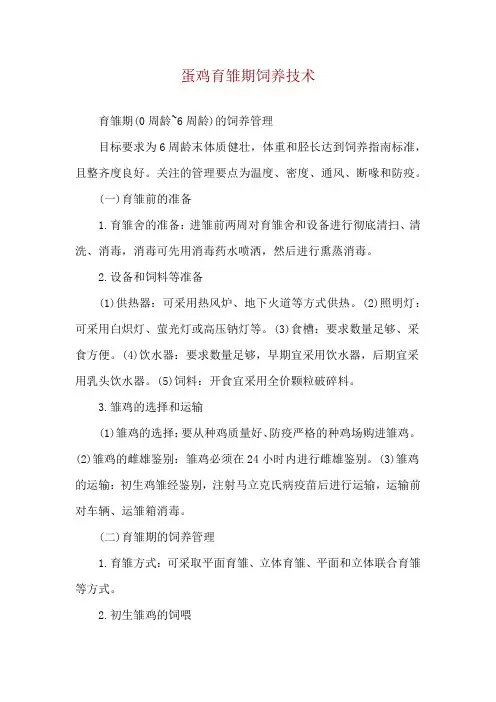蛋鸡育雏期饲养技术