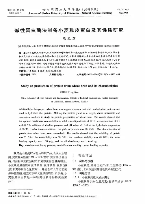 碱性蛋白酶法制备小麦麸皮蛋白及其性质研究