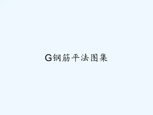 G钢筋平法图集