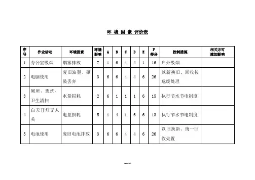 环境因素评价表.(精选)