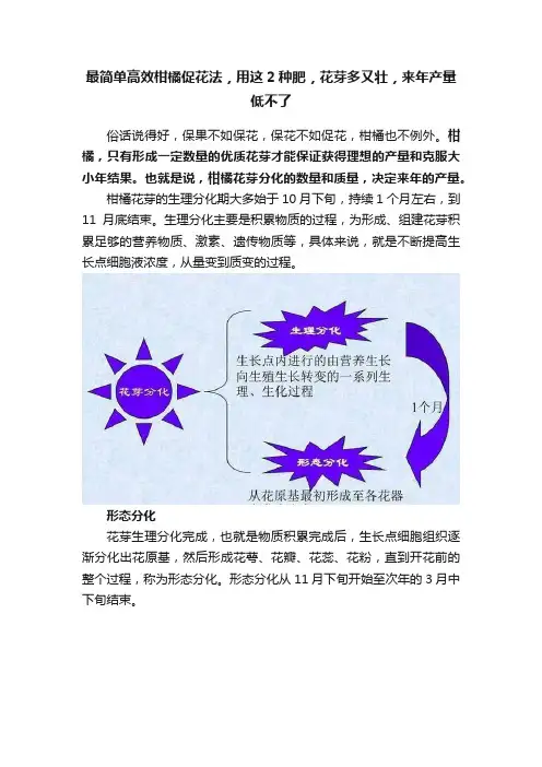 最简单高效柑橘促花法，用这2种肥，花芽多又壮，来年产量低不了