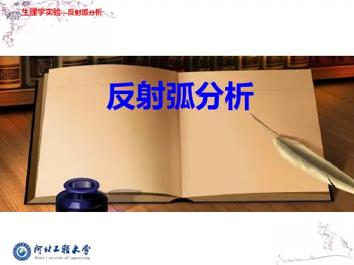 反射弧分析