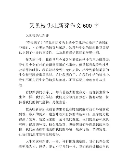 又见枝头吐新芽作文600字