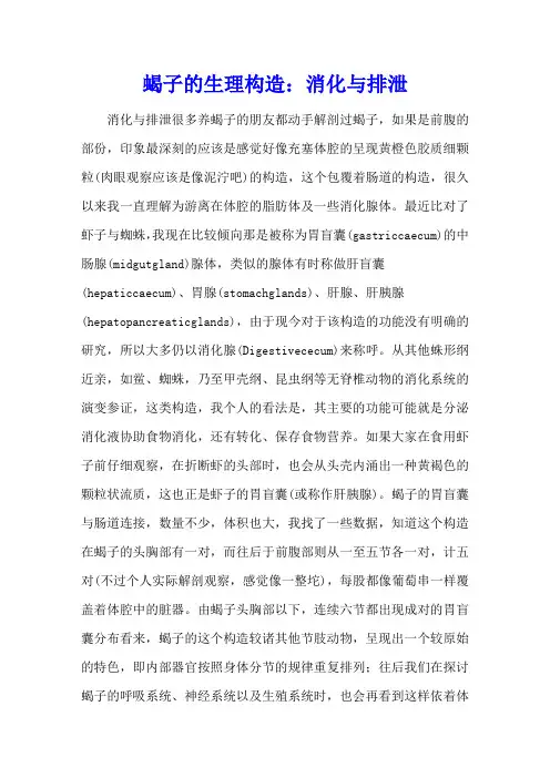 蝎子的生理构造：消化与排泄