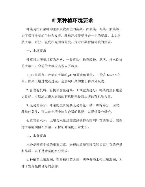 叶菜种植环境要求