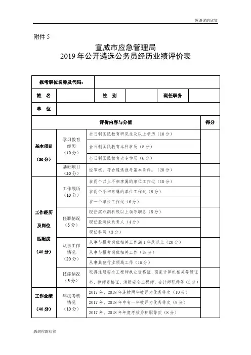 2019年公开遴选公务员经历业绩评价表.doc