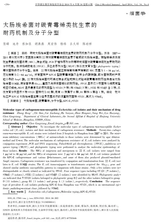 大肠埃希菌对碳青霉烯类抗生素的耐药机制及分子分型