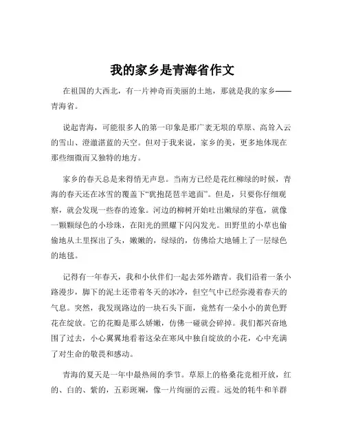 我的家乡是青海省作文