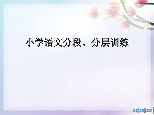 小学语文分段、分层训练课件