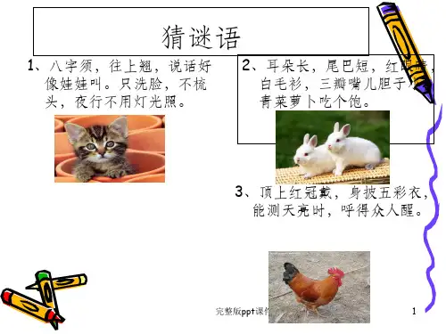 小学四年级作文——我喜欢的小动物ppt课件