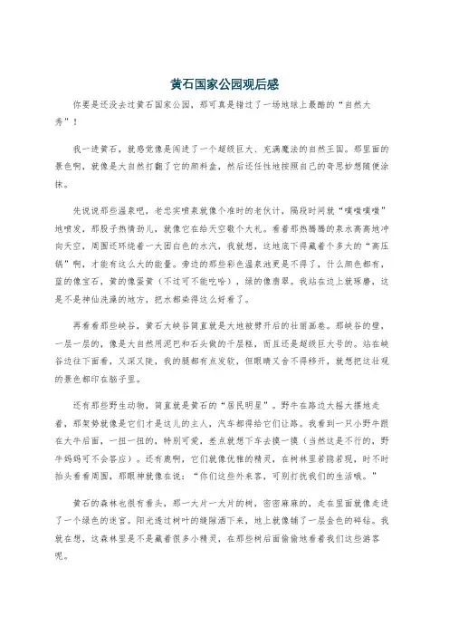黄石国家公园观后感