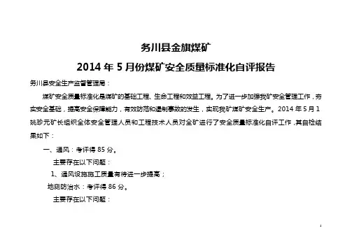 煤矿质量标准化自评报告[1]