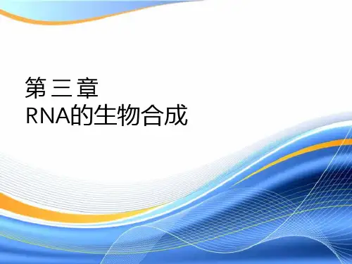 第三章RNA合成