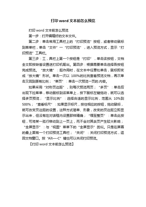 打印word文本前怎么预览